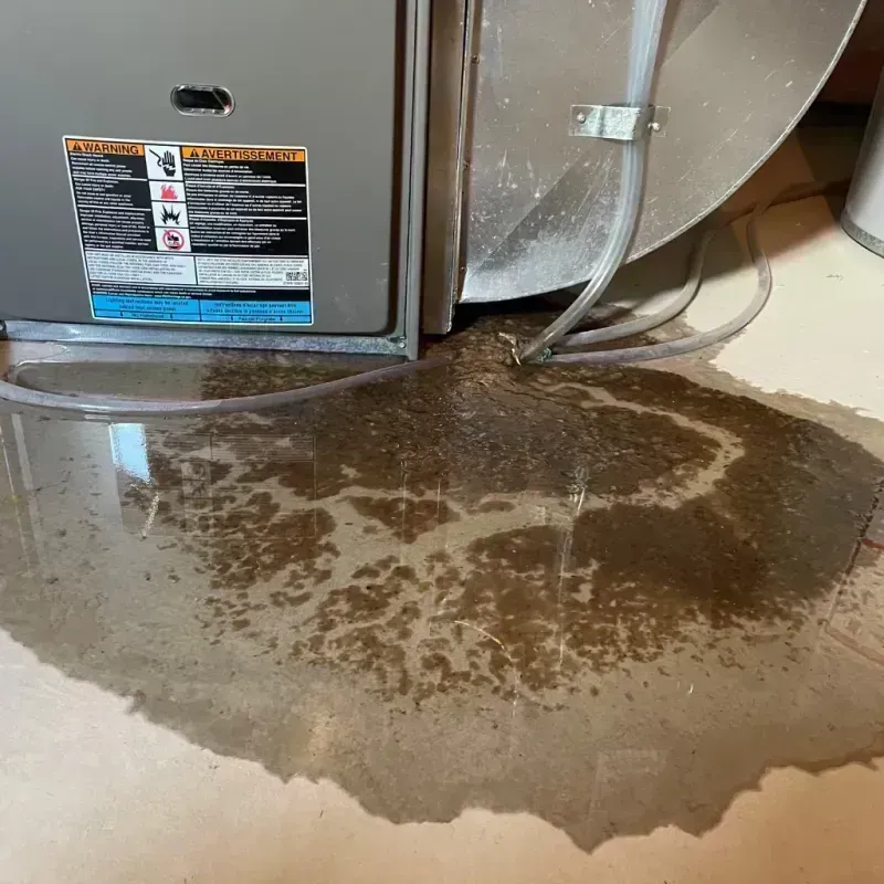 Appliance Leak Cleanup in Clark County, KS